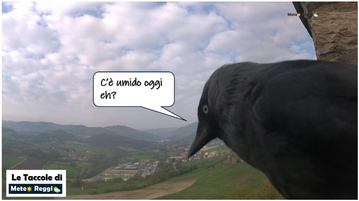 Foschie e umidità nell'aria