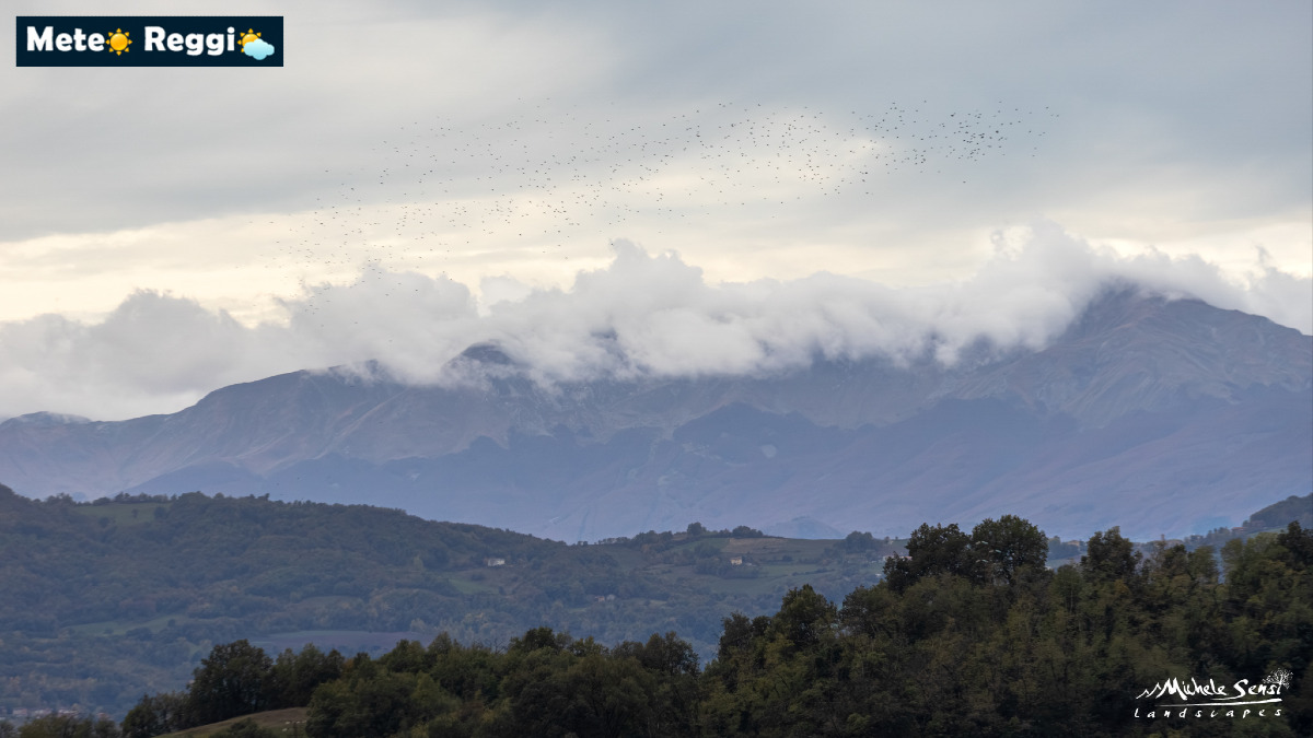In volo contro il gigante: la rotta dei migratori di fronte alla barriera del Cusna