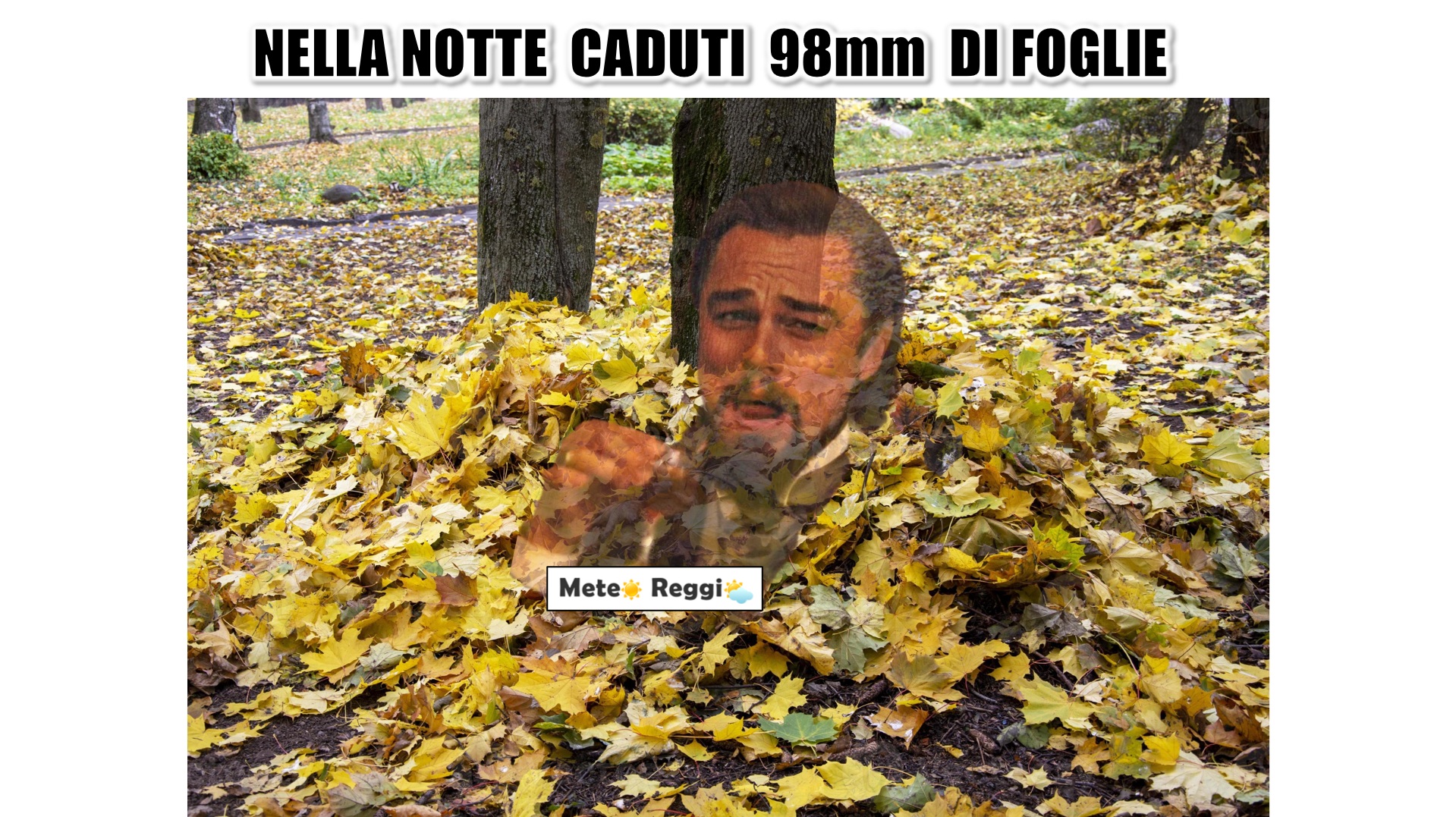 Meme del 17 novembre 2025