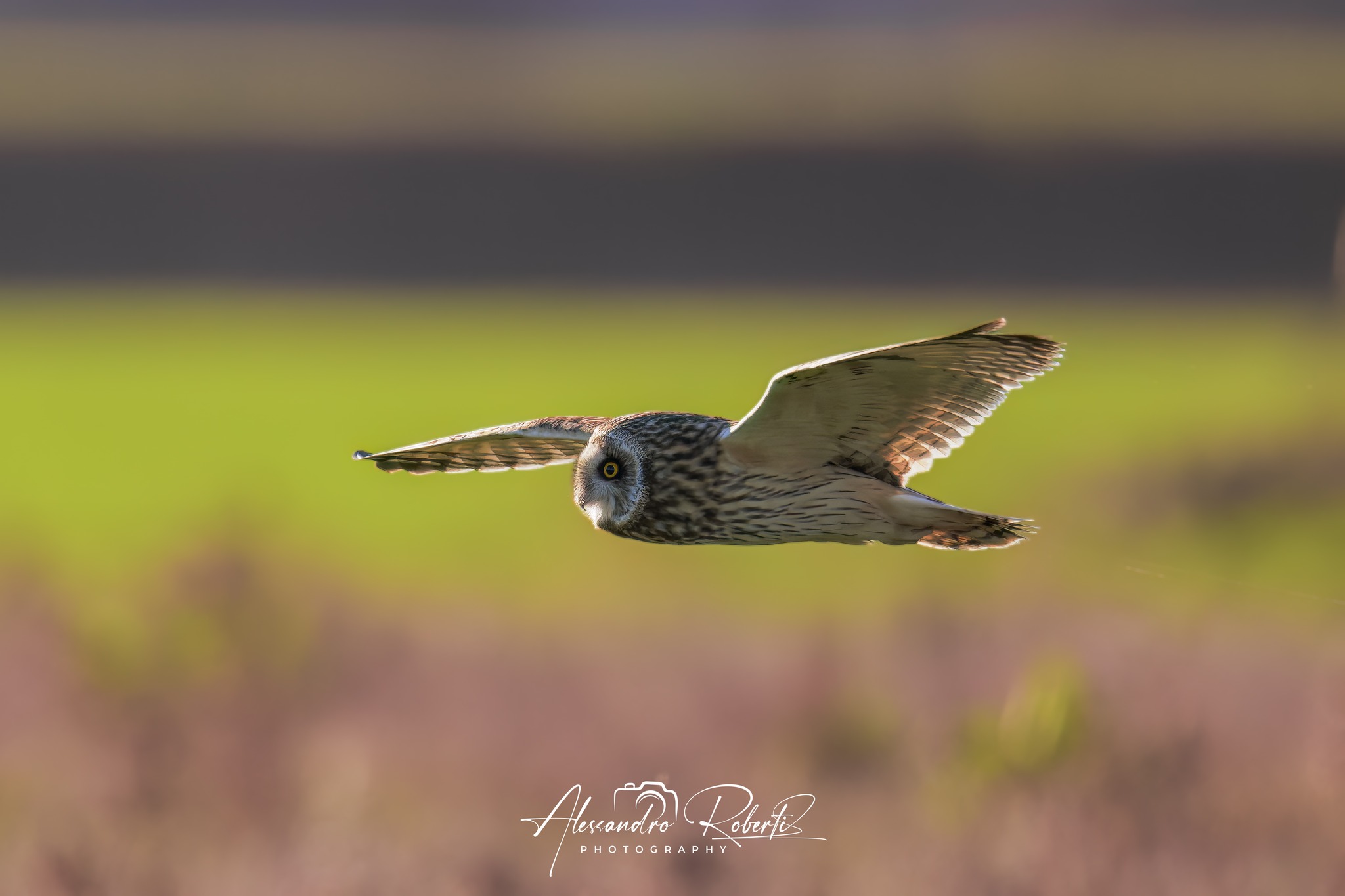 Foto del 23 febbraio 2026