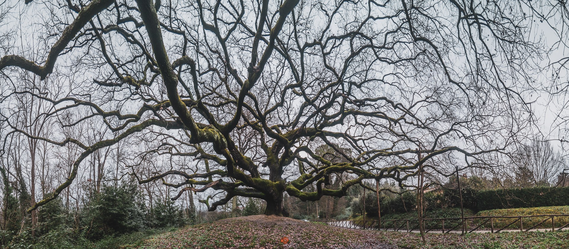 Foto del 24 febbraio 2026