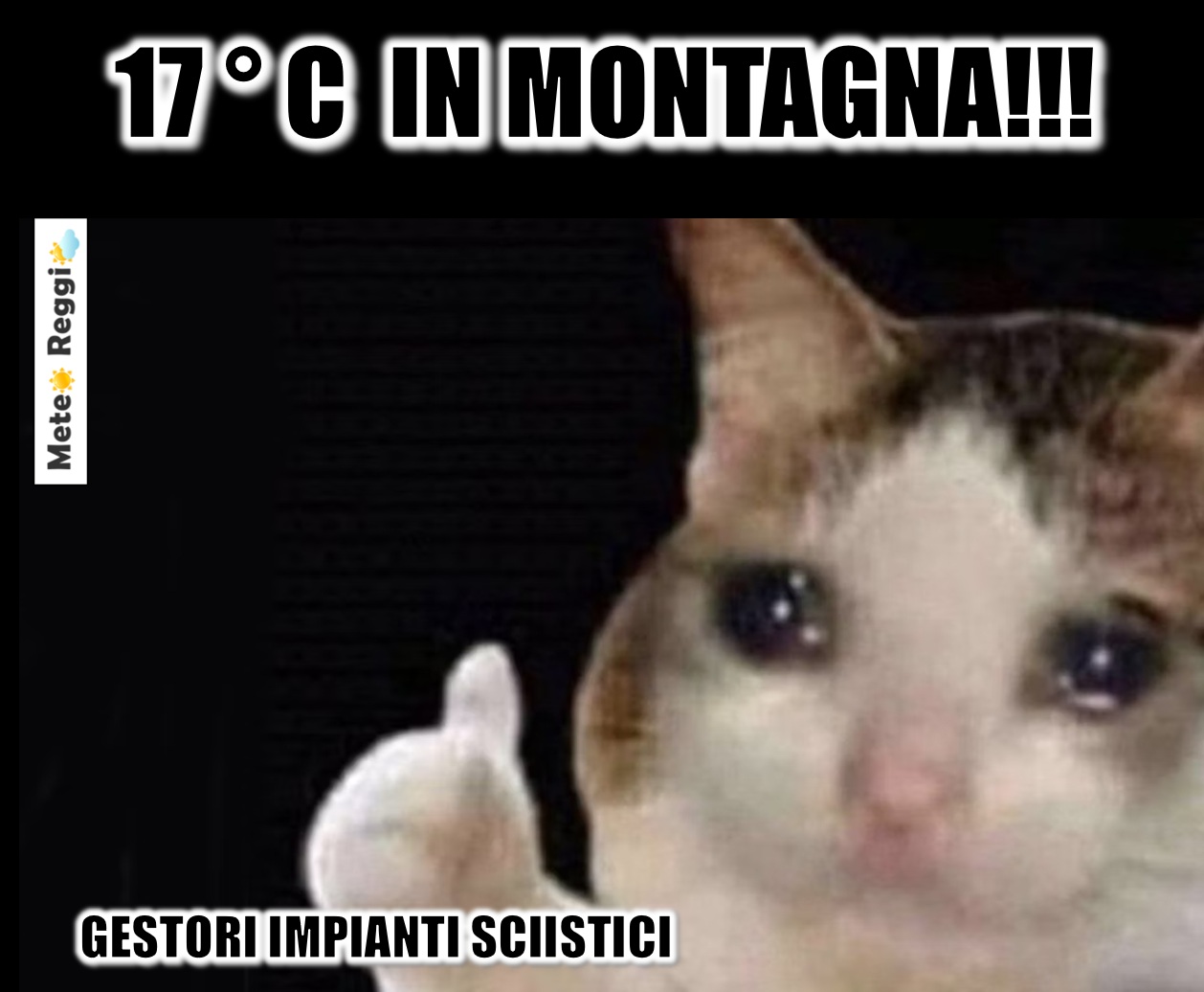 Meme del 24 febbraio 2026