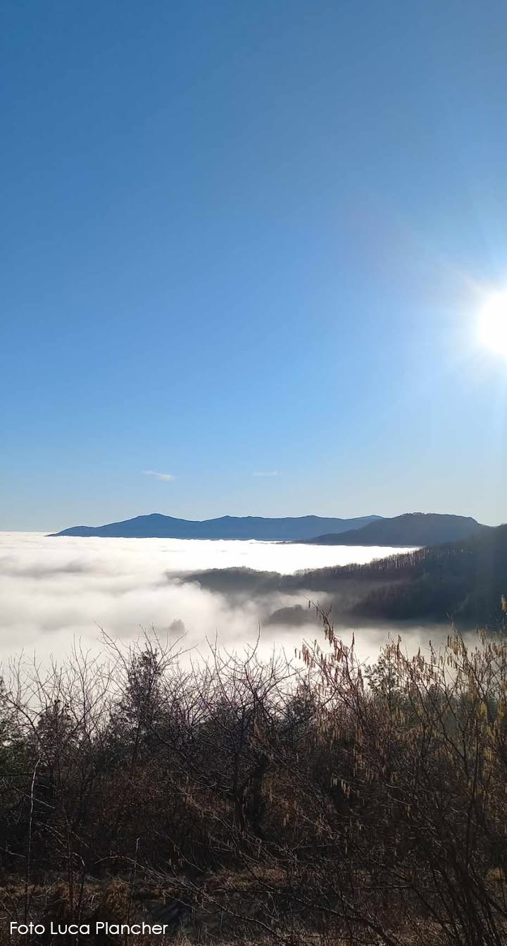 La nebbia mangia il Sole di giorno, ma ruba il gelo di notte