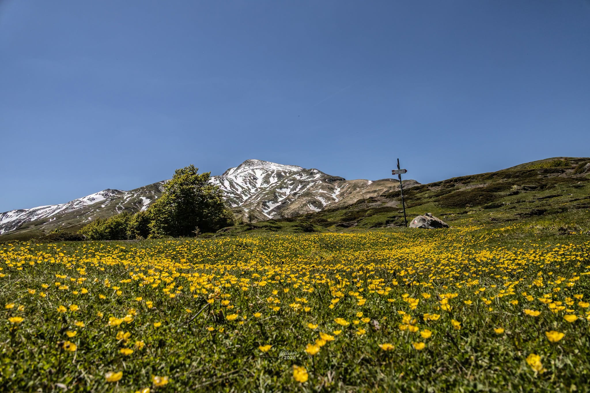 Dal Passo della Cisa ai Prati di Sara