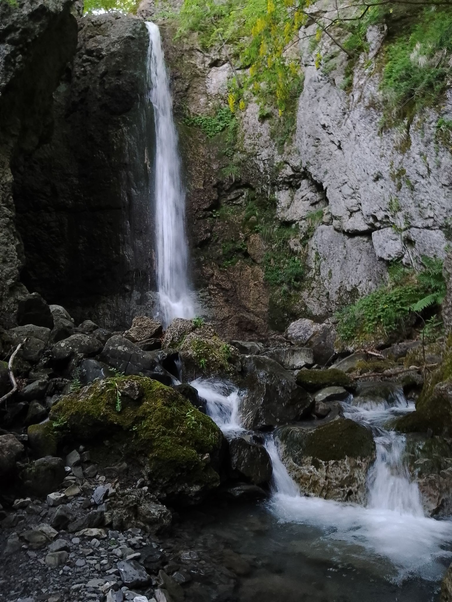 Cascata della Carvara, Vallisnera.