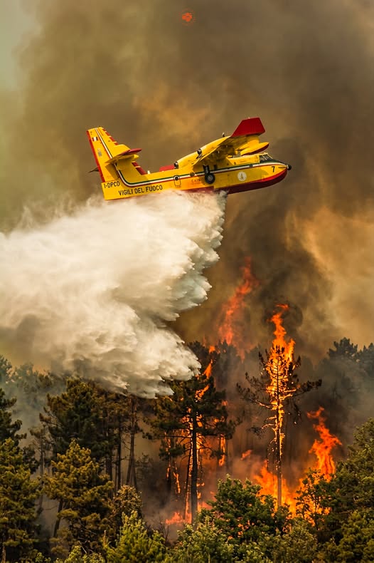 Incendio Monte Serra. Protezione civile Toscana.