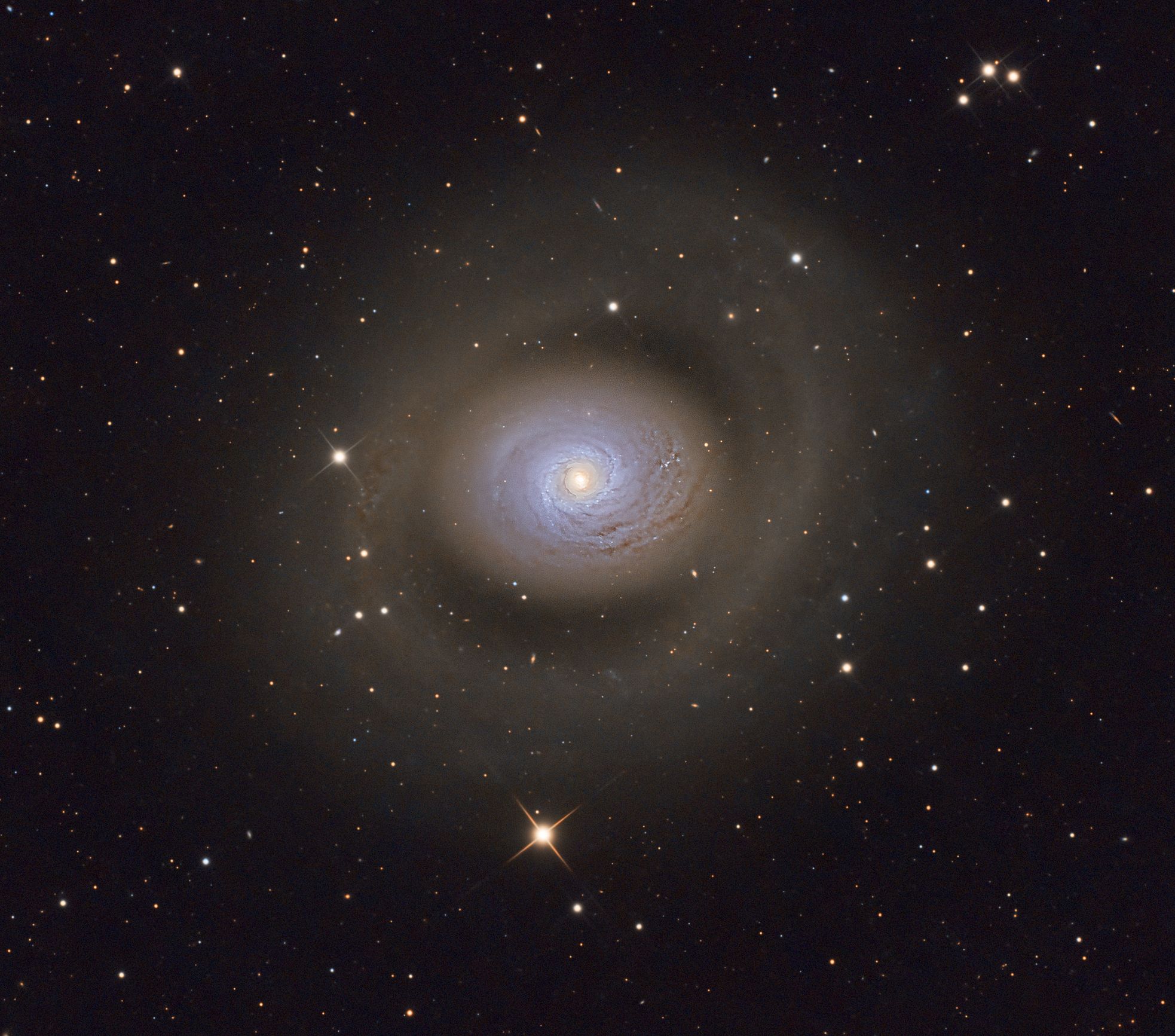 M94
