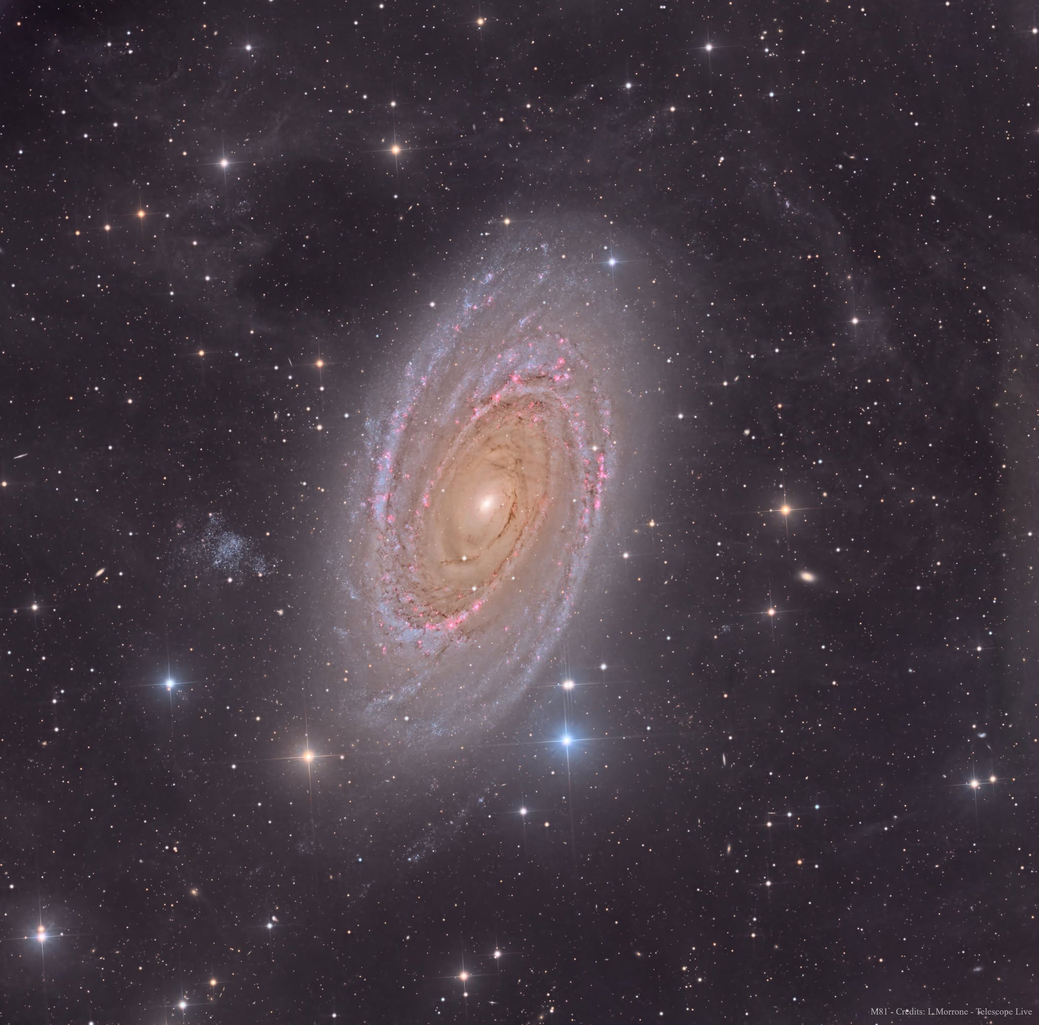 M81 Bode Galaxy