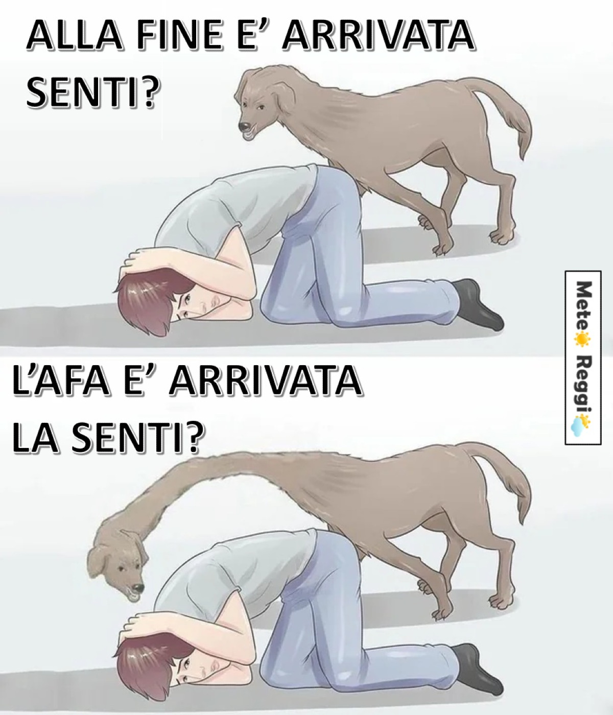 Meme