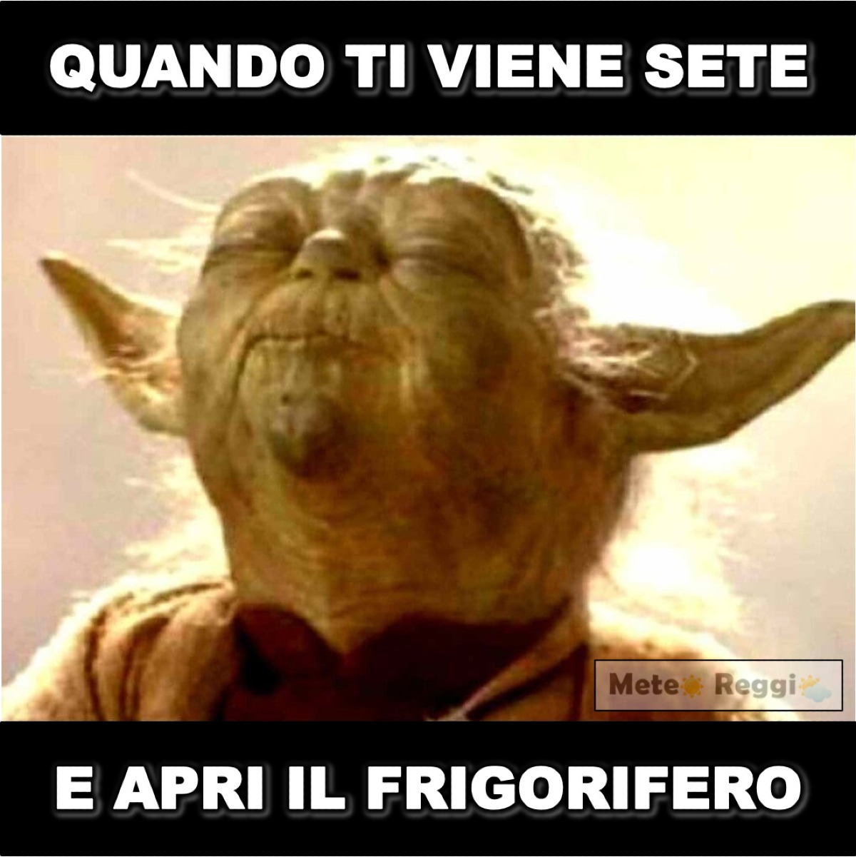 Meme