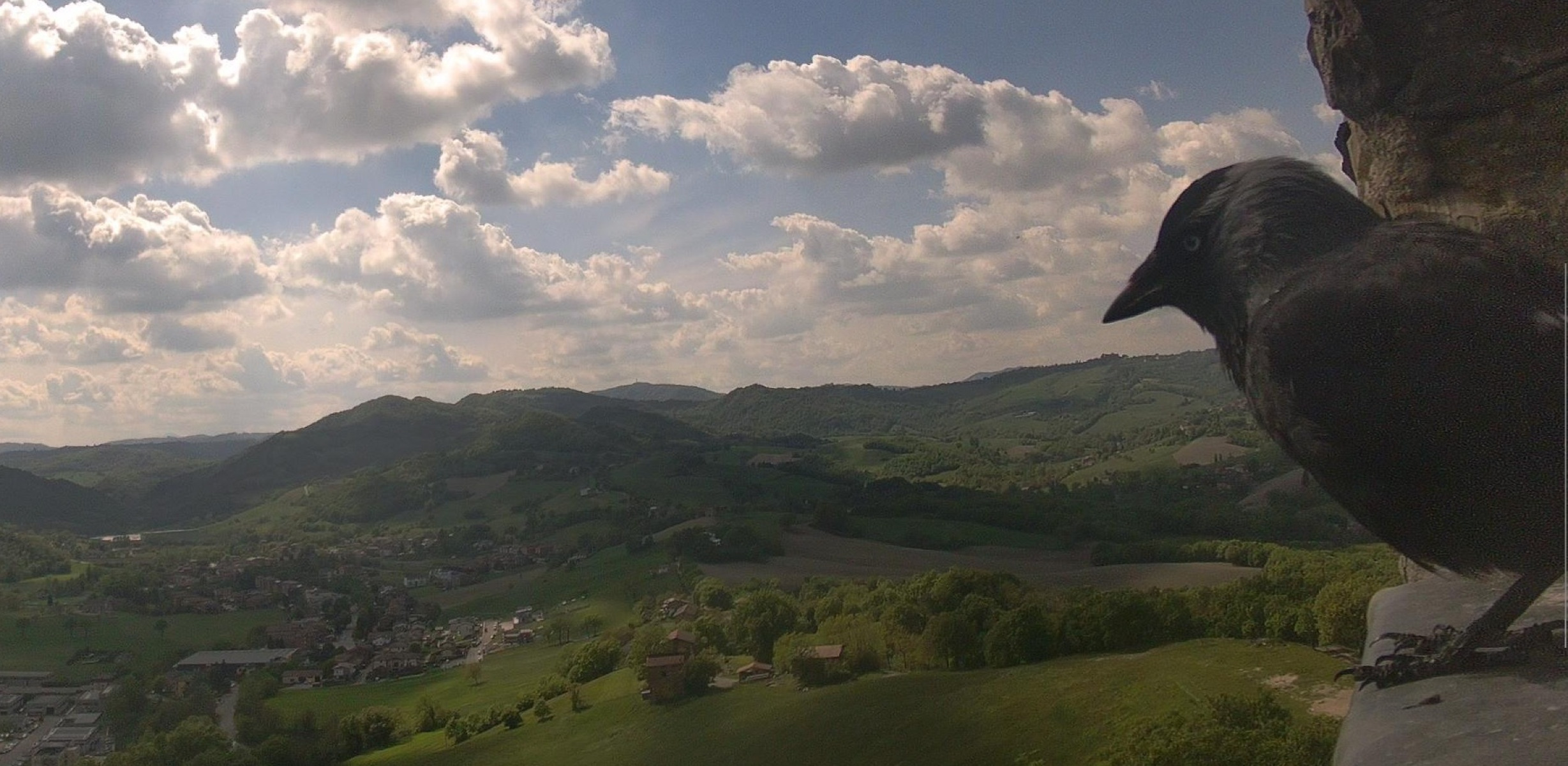 Viano è una città più sicura con il suo vigilantes